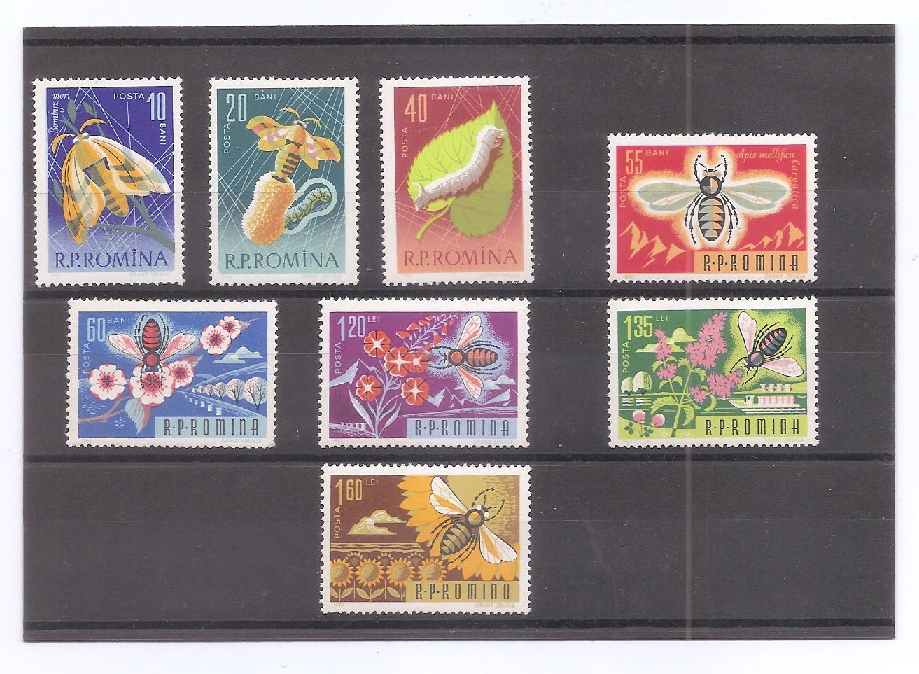 RUMANIA DEL AÑO 1963 INSECTOS